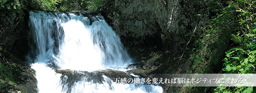 語幹の働きを変えれば脳はポジティブに変わる